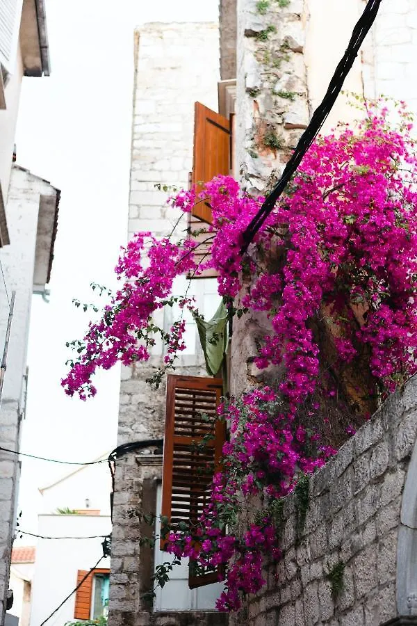 Studio-Appartements Emwey Trogir Apartment